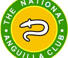 National Anguilla Club logo.jpg